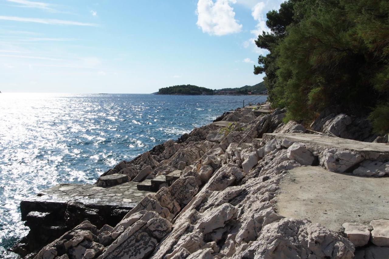 Apartments By The Sea Prizba, Korcula - 9255 Kültér fotó